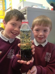 We are delighted with our Lava Lamps!